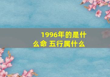 1996年的是什么命 五行属什么